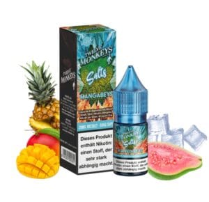 Twelve Monkeys Mangabeys