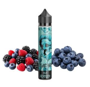 Revoltage Aqua Berries Longfill 15 ml